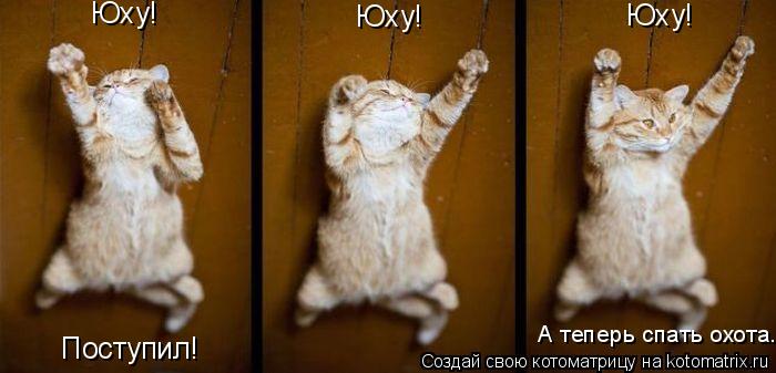 Котоматрица: Юху! Юху! Юху! Поступил! А теперь спать охота..
