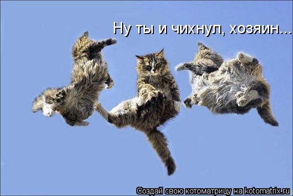 Котоматрица: Ну ты и чихнул, хозяин...