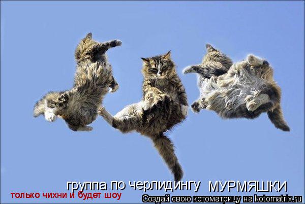 Котоматрица: группа по черлидингу МУРМЯШКИ только чихни и будет шоу только чихни и будет шоу