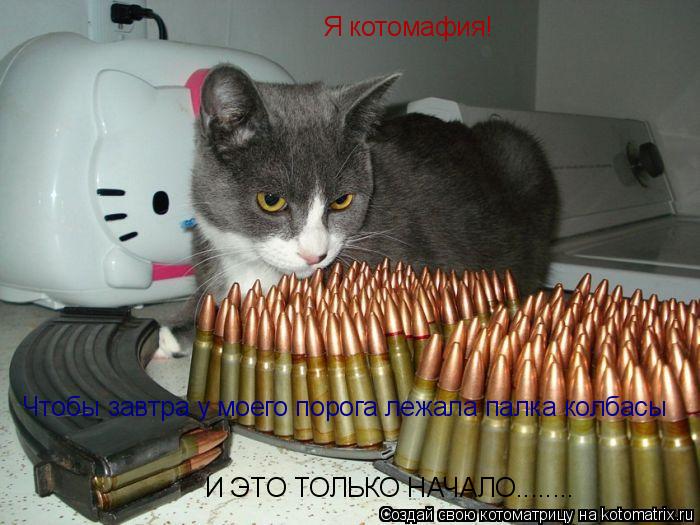 Котоматрица: Я котомафия! Чтобы завтра у моего порога лежала палка колбасы И ЭТО ТОЛЬКО НАЧАЛО........