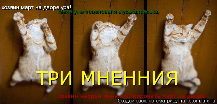 Котоматрица: хозяин март на дворе,ура! меня уже поцеловали муська,фаська, хозяин нахрен меня кострировать март на дворе! ТРИ МНЕННИЯ
