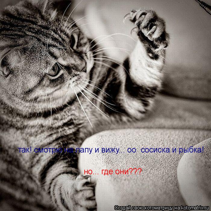Котоматрица: так! смотрю на лапу и вижу... оо  сосиска и рыбка! но... где они???