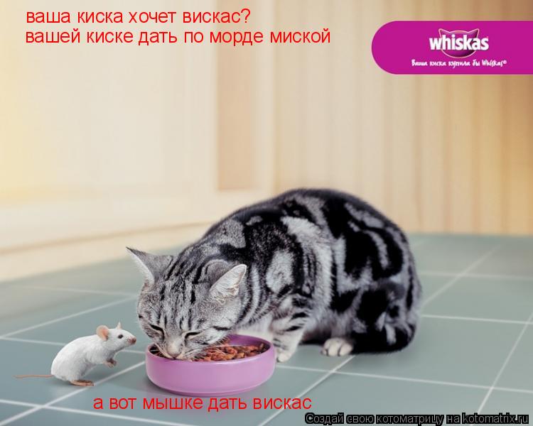 Котоматрица: ваша киска хочет вискас? вашей киске дать по морде миской а вот мышке дать вискас