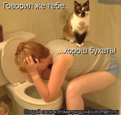Котоматрица: Говорил же тебе.. ...хорош бухать!