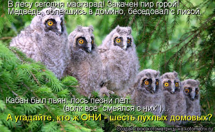 Котоматрица: В лесу сегодня маскарад! Закачен пир горой! Медведь, облекшись в домино, беседовал с лисой, Кабан был пьян, лось песни пел (волк всё "смеялся с