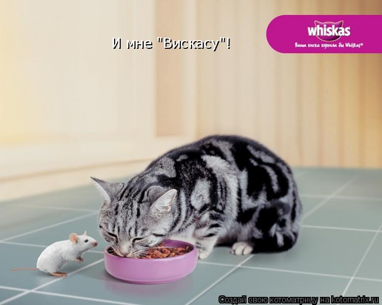 Котоматрица: И мне "Вискасу"!
