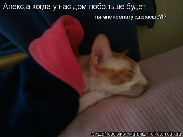 Котоматрица: Алекс,а когда у нас дом побольше будет, ты мне комнату сделаешь?!?