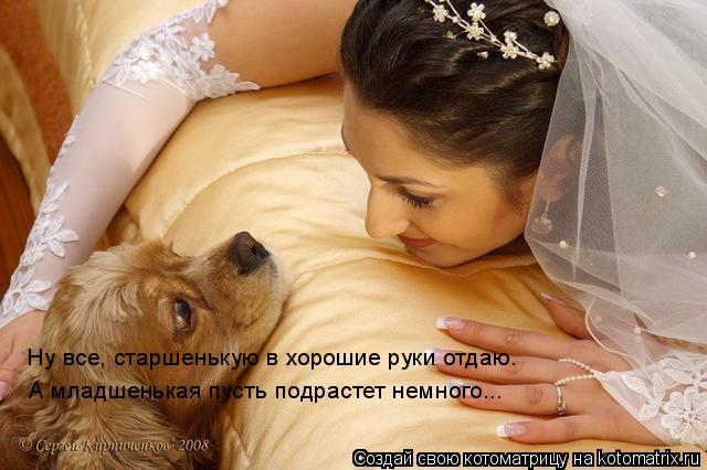 Котоматрица: Ну все, старшенькую в хорошие руки отдаю. А младшенькая пусть подрастет немного...