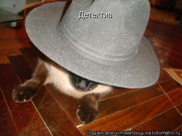 Котоматрица: Детектив
