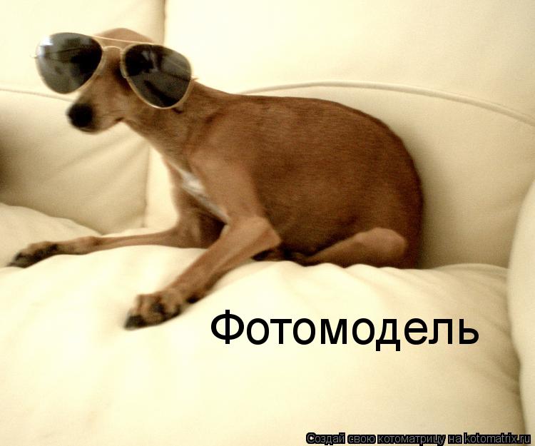 Котоматрица: Фотомодель