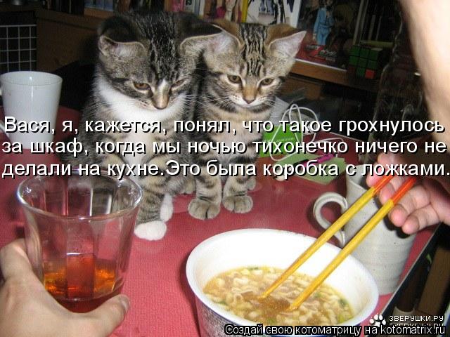 Вася, я, кажется, понял, что такое грохнулось за шкаф, когда мы ночью тихонечко ничего не делали на к... Котоматрица: Вася, я, кажется, понял, что такое грохнулось за шкаф, когда мы ночью тихонечко ничего не делали на кухне.Это была коробка с ложками.