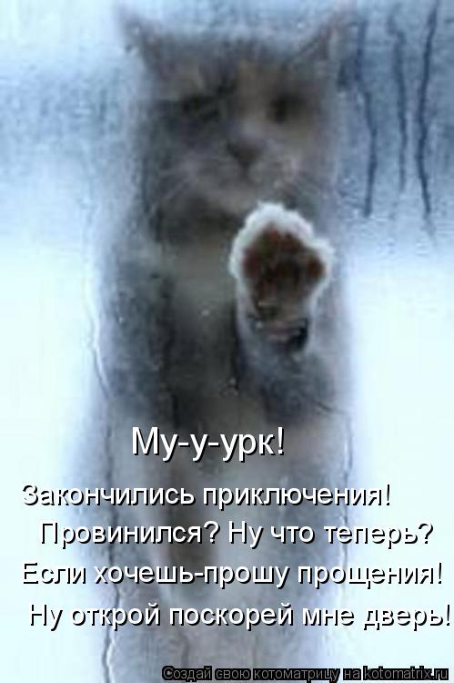Котоматрица: Закончились приключения! Если хочешь-прошу прощения! Ну открой поскорей мне дверь!  Провинился? Ну что теперь? Му-у-урк!