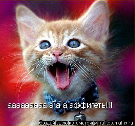 Котоматрица: ааааааааа а а а аффигеть!!!