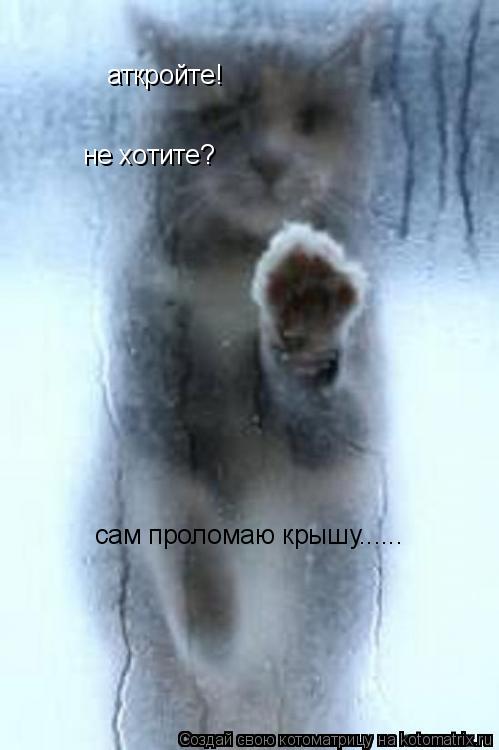 Котоматрица: аткройте! не хотите? сам проломаю крышу......
