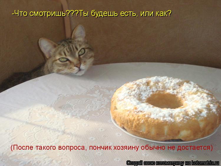 Котоматрица: -Что смотришь???Ты будешь есть, или как? (После такого вопроса, пончик хозяину обычно не достается)