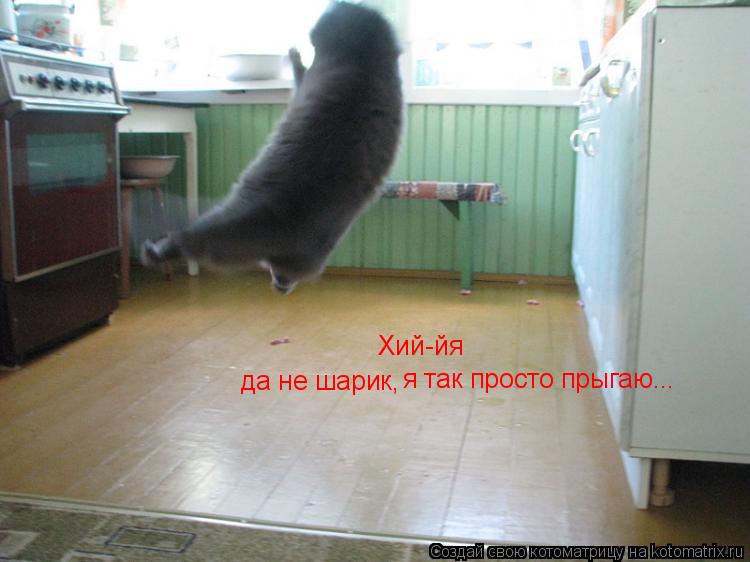 Котоматрица: Хий-йя да не шарик, я так просто прыгаю...