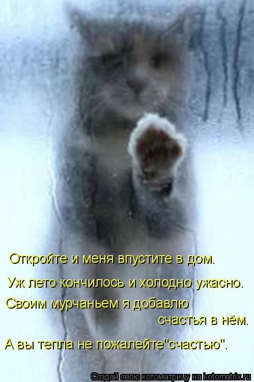 Котоматрица: Откройте и меня впустите в дом. Уж лето кончилось и холодно ужасно. Своим мурчаньем я добавлю  счастья в нём. А вы тепла не пожалейте"счастью"