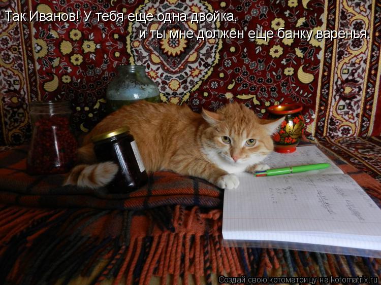 Котоматрица: Так Иванов! У тебя еще одна двойка, и ты мне должен еще банку варенья.