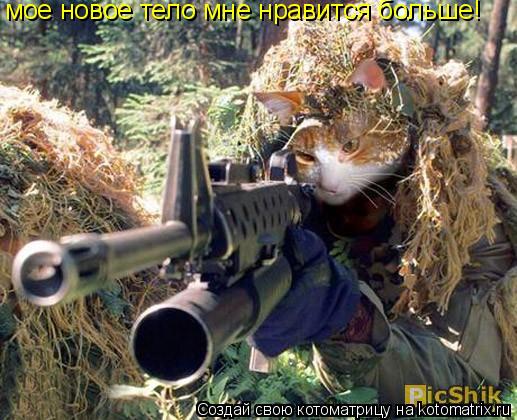 Котоматрица: мое новое тело мне нравится больше!