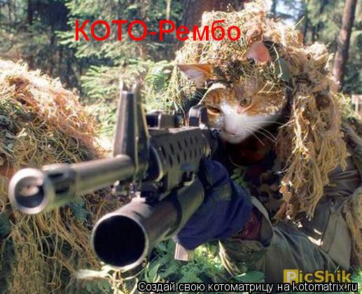 Котоматрица: КОТО-Рембо