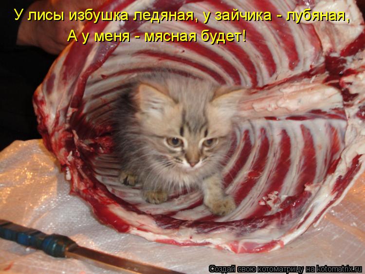 Котоматрица: У лисы избушка ледяная, у зайчика - лубяная,  А у меня - мясная будет!
