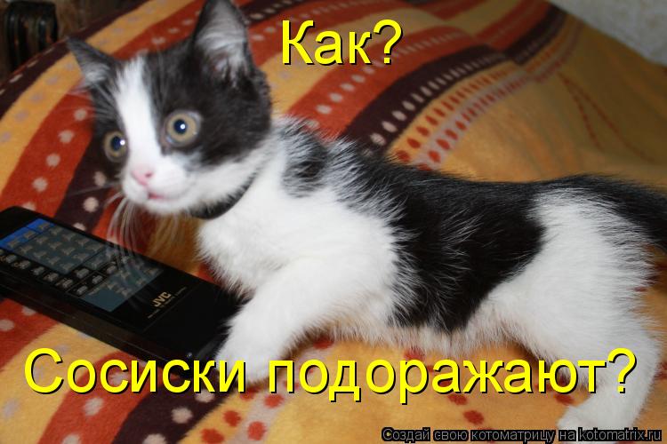 Котоматрица: Как? Сосиски подоражают?