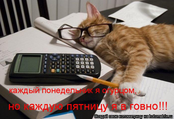 Котоматрица: каждый понедельник я огурцом,  но каждую пятницу я в говно!!!