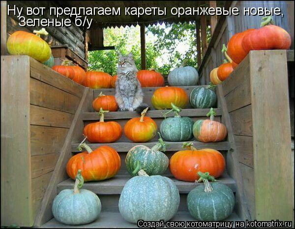 Котоматрица: Ну вот предлагаем кареты оранжевые новые, Зеленые б/у