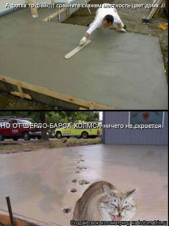 Котоматрица: А фотка то фейк))) сравните скажем местность цвет дома... НО ОТ ШЕРЛО-БАРСА-ХОЛМСА ничего не скроется