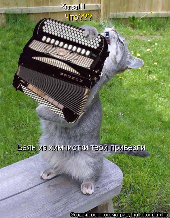 Котоматрица: Коза!!! Что??? Баян из химчистки твой привезли