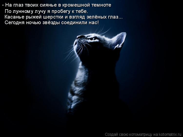 - На глаз твоих сиянье в кромешной темноте По лунному лучу я пробегу к тебе. Касанье рыжей шерстки и ... Котоматрица: - На глаз твоих сиянье в кромешной темноте По лунному лучу я пробегу к тебе. Касанье рыжей шерстки и взгляд зелёных глаз... Сегодня ночью звёз