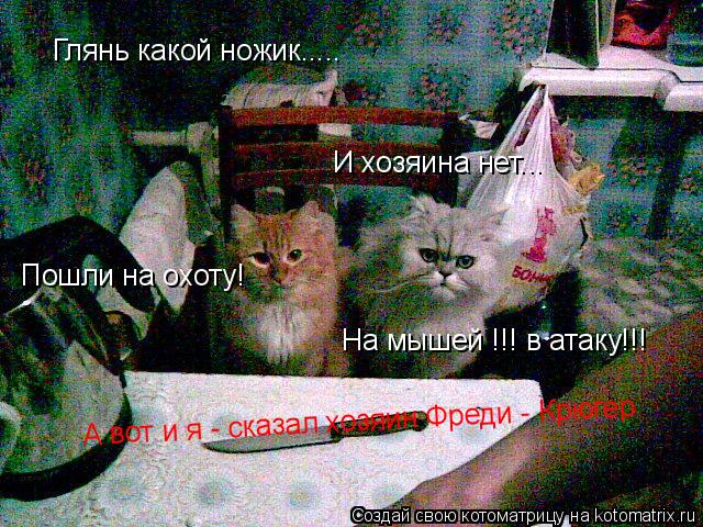 Котоматрица: Глянь какой ножик..... И хозяина нет... Пошли на охоту! На мышей !!! в атаку!!! А вот и я - сказал хозяин Фреди - Крюгер