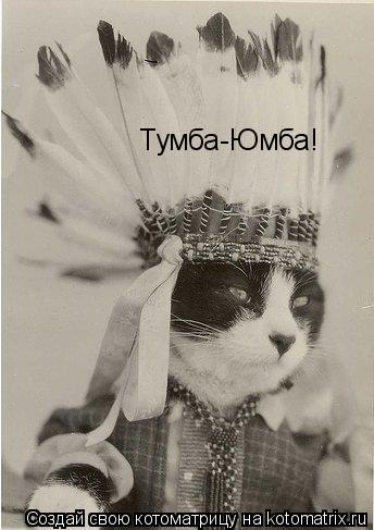 Котоматрица: Тумба-Юмба!
