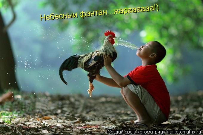 Котоматрица: Нeбесныи фантан...жараааааа!)