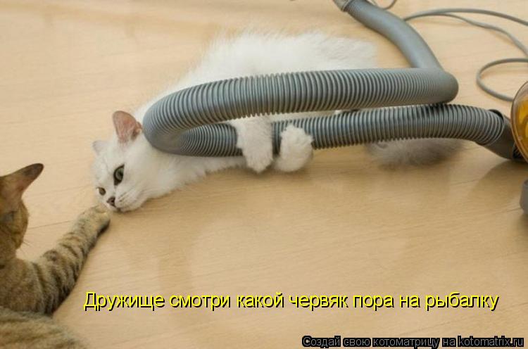 Котоматрица: Дружище смотри какой червяк пора на рыбалку