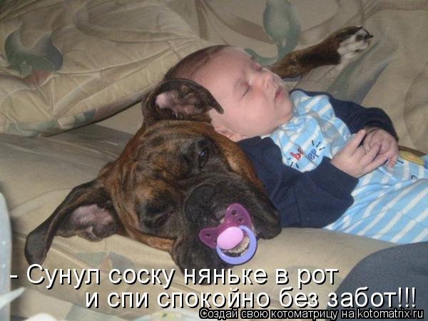 Котоматрица: и спи спокойно без забот!!! - Сунул соску няньке в рот
