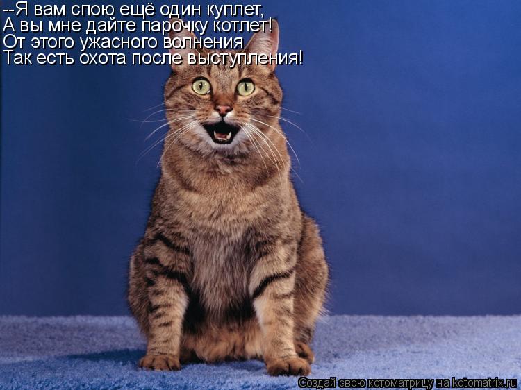 Котоматрица: --Я вам спою ещё один куплет, А вы мне дайте парочку котлет! От этого ужасного волнения Так есть охота после выступления!