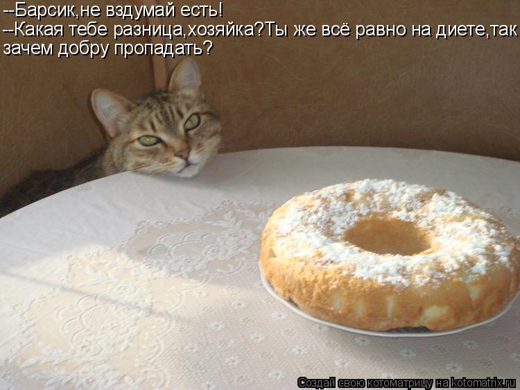 Котоматрица: --Барсик,не вздумай есть! --Какая тебе разница,хозяйка?Ты же всё равно на диете,так зачем добру пропадать?