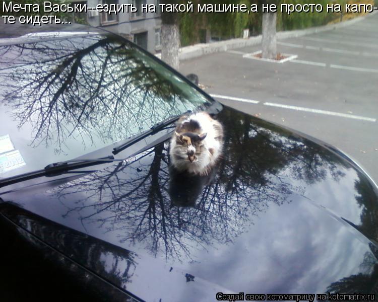 Мечта Васьки--ездить на такой машине,а не просто на капо- те сидеть...... Котоматрица: Мечта Васьки--ездить на такой машине,а не просто на капо- те сидеть...