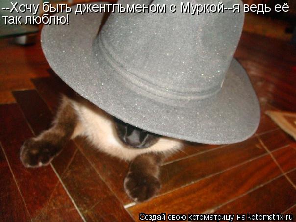 --Хочу быть джентльменом с Муркой--я ведь её так люблю!... Котоматрица: --Хочу быть джентльменом с Муркой--я ведь её так люблю!