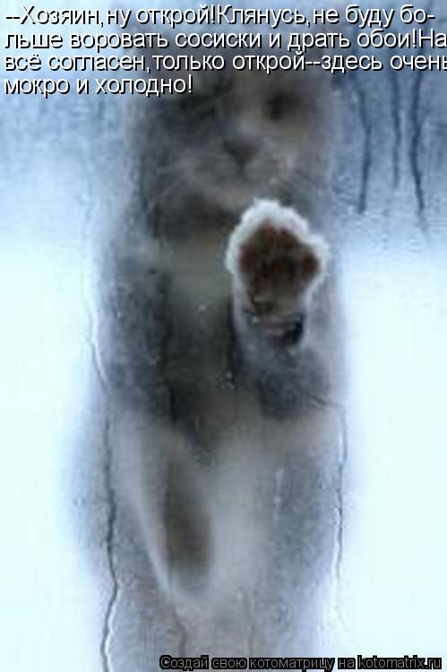 --Хозяин,ну открой!Клянусь,не буду бо- льше воровать сосиски и драть обои!На всё согласен,только откр... Котоматрица: --Хозяин,ну открой!Клянусь,не буду бо- льше воровать сосиски и драть обои!На всё согласен,только открой--здесь очень мокро и холодно!
