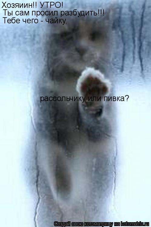 Хозяиин!! УТРО! Ты сам просил разбудить!!! Тебе чего - чайку, рассольчику или пивка?... Котоматрица: Хозяиин!! УТРО! Ты сам просил разбудить!!! Тебе чего - чайку, рассольчику или пивка?