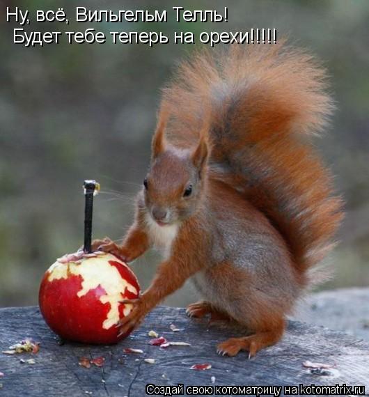 Ну, всё, Вильгельм Телль! Будет тебе теперь на орехи!!!!!... Котоматрица: Ну, всё, Вильгельм Телль! Будет тебе теперь на орехи!!!!!