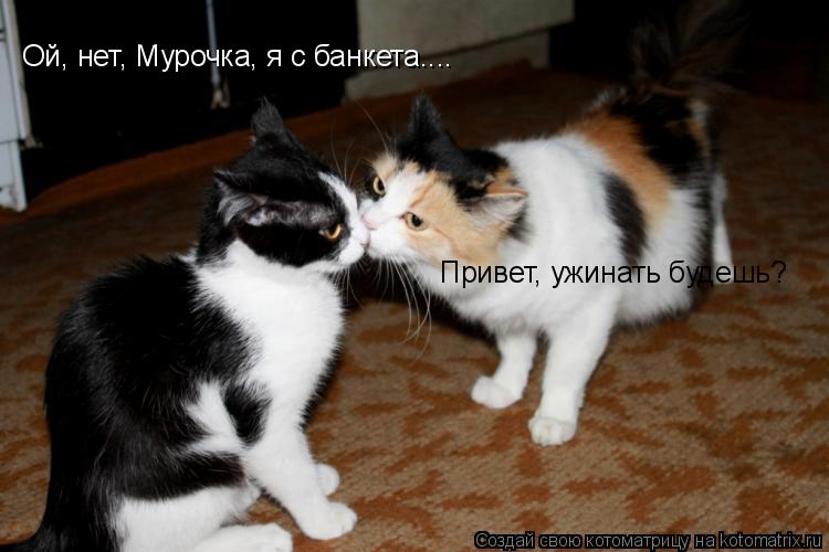 Привет, ужинать будешь? Ой, нет, Мурочка, я с банкета....... Котоматрица: Привет, ужинать будешь? Ой, нет, Мурочка, я с банкета....