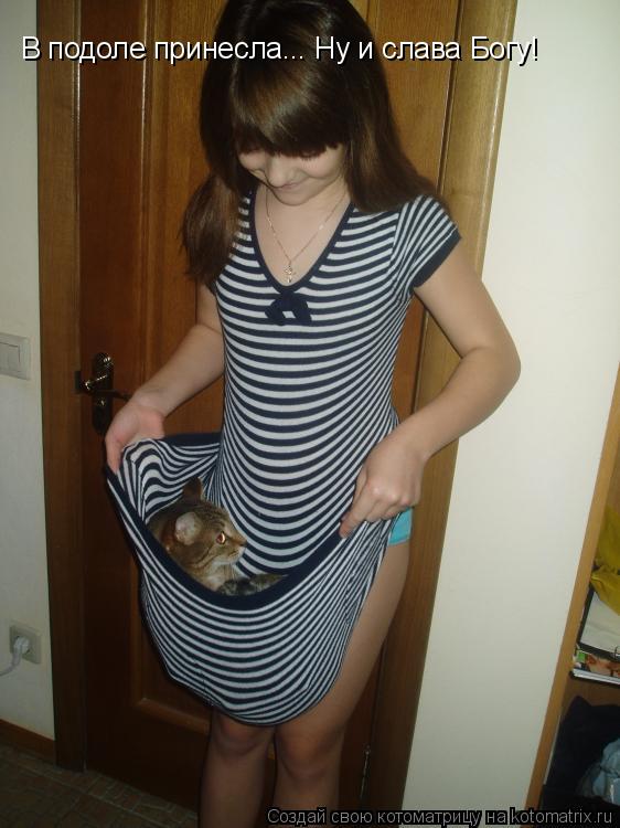В подоле принесла... Ну и слава Богу!... Котоматрица: В подоле принесла... Ну и слава Богу!