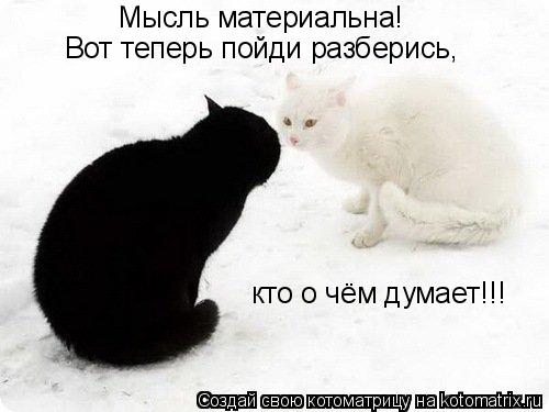 Мысль материальна! Вот теперь пойди разберись, кто о чём думает!!!... Котоматрица: Мысль материальна! Вот теперь пойди разберись, кто о чём думает!!!