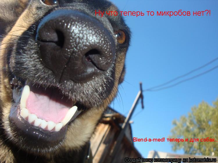Ну что теперь то микробов нет?! Blend-a-med! теперь и для собак...... Котоматрица: Ну что теперь то микробов нет?! Blend-a-med! теперь и для собак...