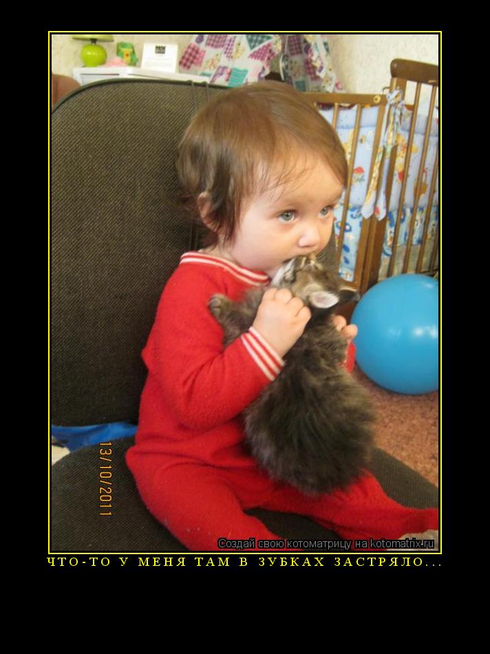 Котоматрица:  