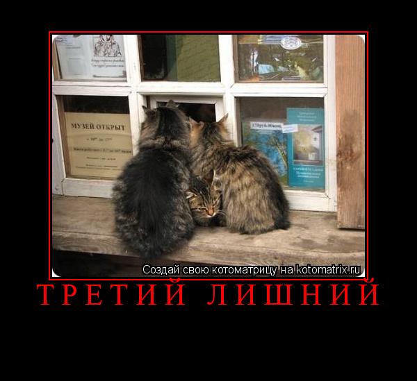 Котоматрица: третий лишний 