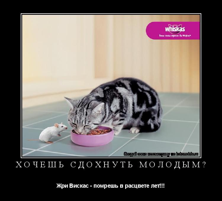 Хочешь сдохнуть молодым? Жри Вискас - помрешь в расцвете лет!!!... Котоматрица: Хочешь сдохнуть молодым? Жри Вискас - помрешь в расцвете лет!!!